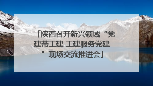 陕西召开新兴领域“党建带工建 工建服务党建”现场交流推进会