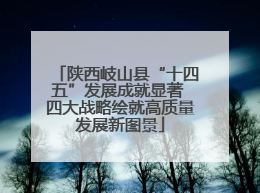陕西岐山县“十四五”发展成就显著 四大战略绘就高质量发展新图景