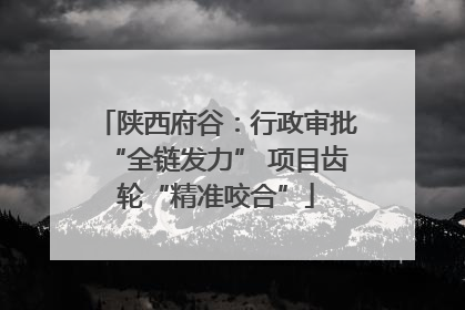 陕西府谷：行政审批“全链发力” 项目齿轮“精准咬合”