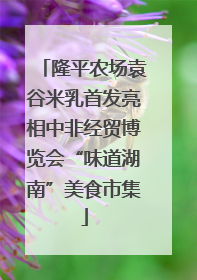 隆平农场袁谷米乳首发亮相中非经贸博览会“味道湖南”美食市集