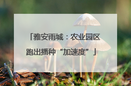 雅安雨城：农业园区跑出播种“加速度”