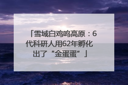 雪域白鸡鸣高原：6代科研人用62年孵化出了“金蛋蛋”