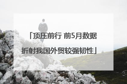 顶压前行 前5月数据折射我国外贸较强韧性