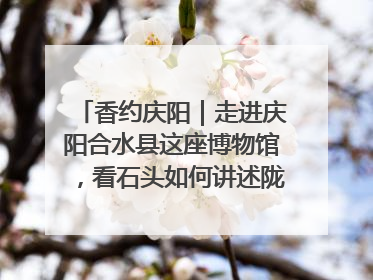 香约庆阳｜走进庆阳合水县这座博物馆，看石头如何讲述陇东千年历史