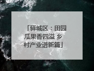 驿城区：田园瓜果香四溢 乡村产业谱新篇