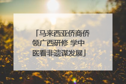 马来西亚侨商侨领广西研修 学中医看非遗谋发展
