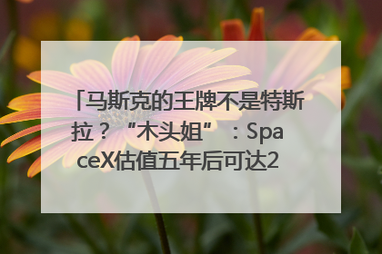 马斯克的王牌不是特斯拉？“木头姐”：SpaceX估值五年后可达2.5万亿美元！
