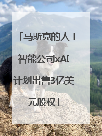 马斯克的人工智能公司xAI计划出售3亿美元股权