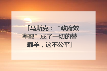 马斯克：“政府效率部”成了一切的替罪羊，这不公平