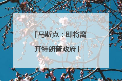 马斯克：即将离开特朗普政府