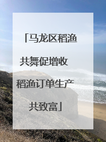 马龙区稻渔共舞促增收 稻渔订单生产共致富