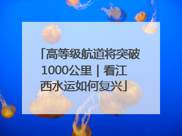 高等级航道将突破1000公里｜看江西水运如何复兴