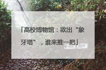 高校博物馆：欲出“象牙塔”，谁来推一把