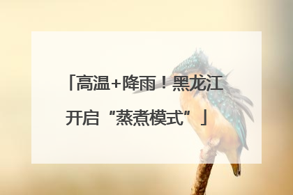 高温+降雨！黑龙江开启“蒸煮模式”