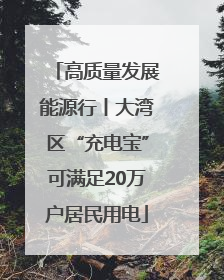 高质量发展能源行丨大湾区“充电宝”可满足20万户居民用电