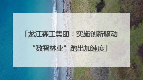 龙江森工集团：实施创新驱动 “数智林业”跑出加速度