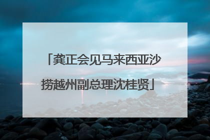龚正会见马来西亚沙捞越州副总理沈桂贤