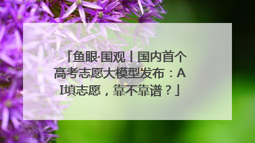 鱼眼·围观丨国内首个高考志愿大模型发布：AI填志愿，靠不靠谱？