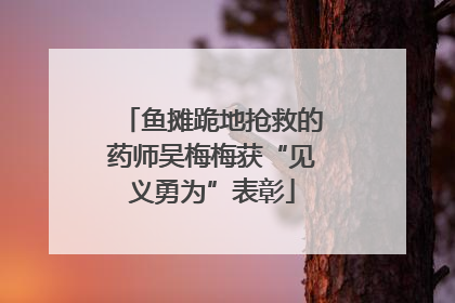 鱼摊跪地抢救的药师吴梅梅获“见义勇为”表彰