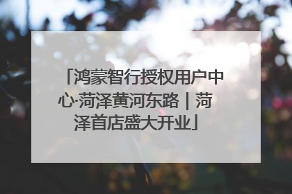 鸿蒙智行授权用户中心·菏泽黄河东路｜菏泽首店盛大开业
