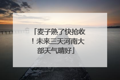 麦子熟了快抢收！未来三天河南大部天气晴好