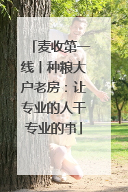 麦收第一线丨种粮大户老房：让专业的人干专业的事