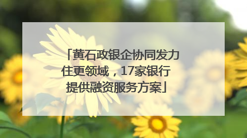 黄石政银企协同发力住更领域，17家银行提供融资服务方案