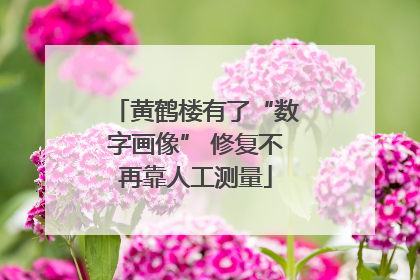 黄鹤楼有了“数字画像” 修复不再靠人工测量