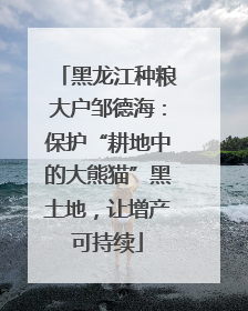 黑龙江种粮大户邹德海：保护“耕地中的大熊猫”黑土地，让增产可持续