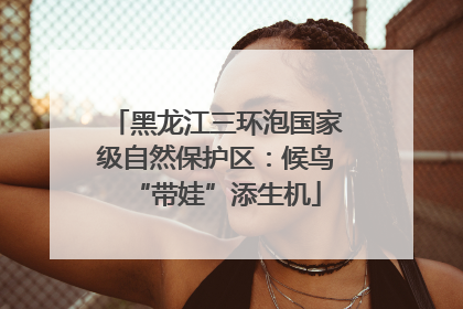 黑龙江三环泡国家级自然保护区：候鸟“带娃”添生机