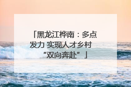 黑龙江桦南：多点发力 实现人才乡村“双向奔赴”