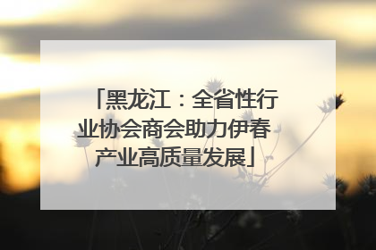 黑龙江：全省性行业协会商会助力伊春产业高质量发展
