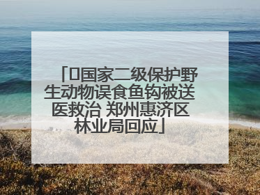 ﻿国家二级保护野生动物误食鱼钩被送医救治 郑州惠济区林业局回应