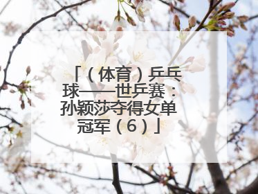 （体育）乒乓球——世乒赛：孙颖莎夺得女单冠军（6）