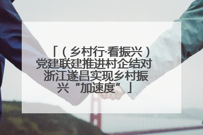 （乡村行·看振兴）党建联建推进村企结对 浙江遂昌实现乡村振兴“加速度”