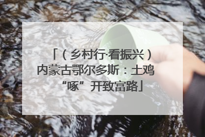 （乡村行·看振兴）内蒙古鄂尔多斯：土鸡“啄”开致富路