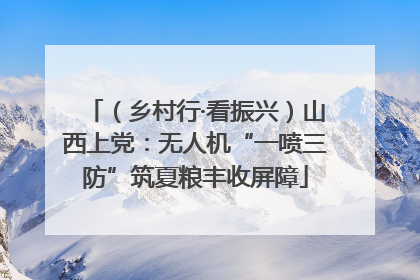 （乡村行·看振兴）山西上党：无人机“一喷三防”筑夏粮丰收屏障