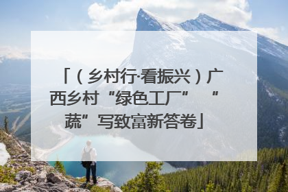 （乡村行·看振兴）广西乡村“绿色工厂” “蔬”写致富新答卷