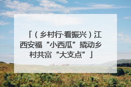 （乡村行·看振兴）江西安福“小西瓜”撬动乡村共富“大支点”