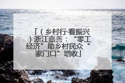 （乡村行·看振兴）浙江嘉善：“零工经济”助乡村民众“家门口”增收