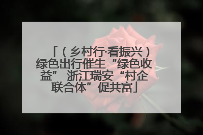 （乡村行·看振兴）绿色出行催生“绿色收益” 浙江瑞安“村企联合体”促共富