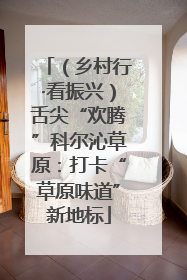 （乡村行·看振兴）舌尖“欢腾”科尔沁草原：打卡“草原味道”新地标