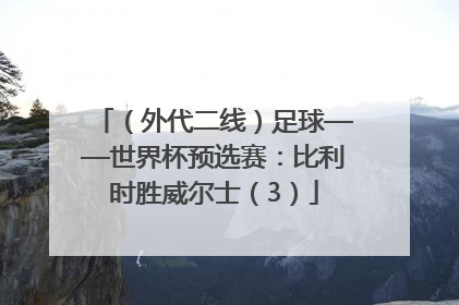 （外代二线）足球——世界杯预选赛：比利时胜威尔士（3）