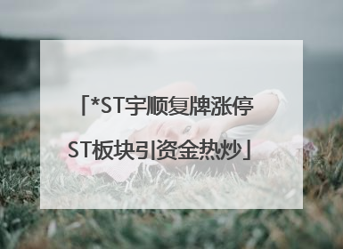 *ST宇顺复牌涨停 ST板块引资金热炒