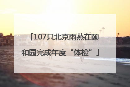 107只北京雨燕在颐和园完成年度“体检”