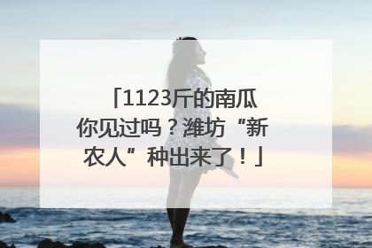 1123斤的南瓜你见过吗？潍坊“新农人”种出来了！