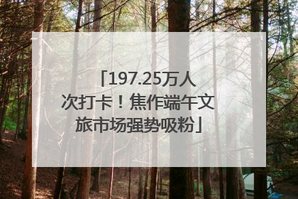 197.25万人次打卡！焦作端午文旅市场强势吸粉