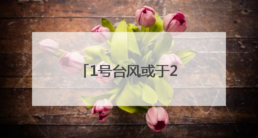 1号台风或于24小时内生成！今天福建中北部地区有分散性暴雨