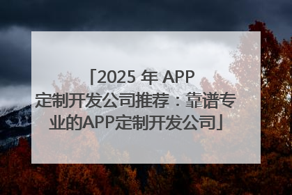 2025 年 APP 定制开发公司推荐：靠谱专业的APP定制开发公司