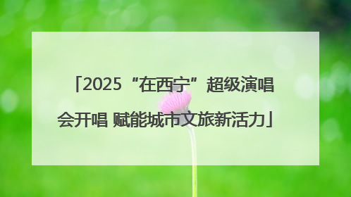 2025“在西宁”超级演唱会开唱 赋能城市文旅新活力